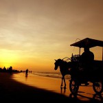 Tempat Wisata Jogja Pantai Parangtritis