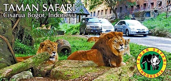 Taman Safari Indonesia II Sebagai Wisata Keluarga di Prigen