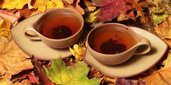 Resep Ramuan Kuno untuk Membersihkan Liver