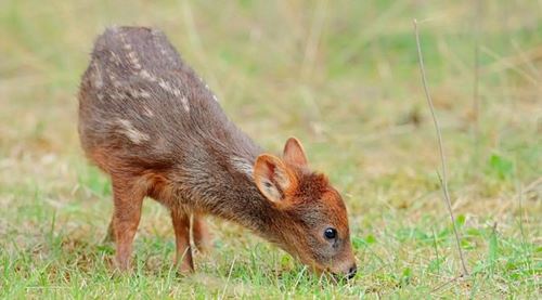 Serunya Menginap di Hotel Alami dengan Air terjun Diatasnya 3