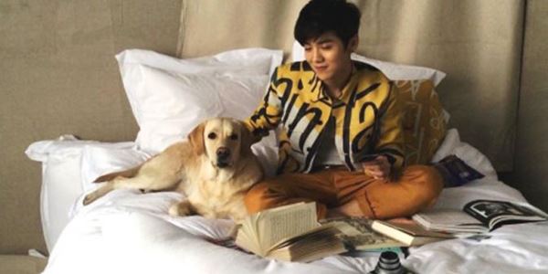 Jadi Bintang Iklan di Tiongkok, Luhan EXO Digugat SM Entertainment