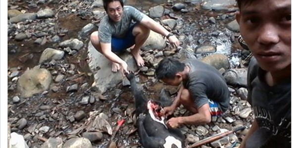 Pamer Foto Beruang Madu Hasil Berburu, PNS Kukar Terancam Dipenjara