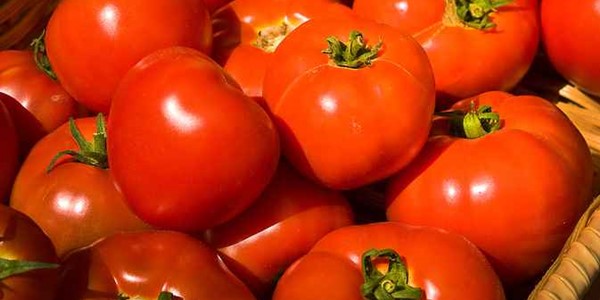 Tampil Muda Tanpa Keriput dengan Tomat