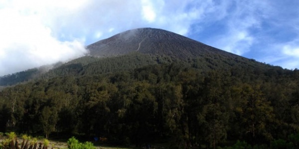 Pendaki Tak Padamkan Api Unggun, Penyebab Terbakarnya Gunung Semeru