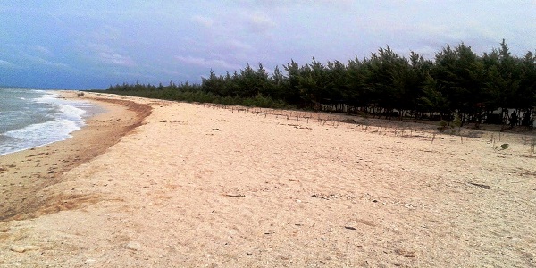 pantai pasir putih remen tuban
