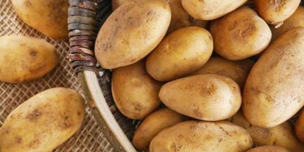 Simpan Kentang di Kulkas Ternyata Bisa Bangkitkan Senyawa Berbahaya