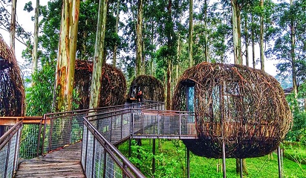 Mengenal Dusun Bambu, Tempat Wisata Unik dan Instagramable di Bandung 2