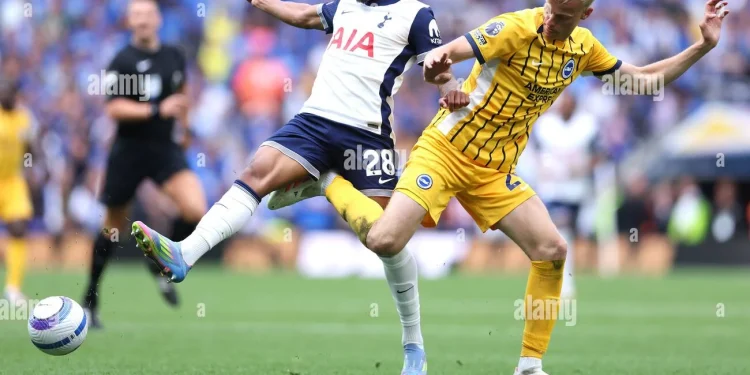 Tottenham Hotspur Resmi Datangkan Jan Paul van Hecke dari Brighton
